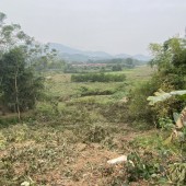 Tôi cần bán đất tại thị trấn Lương Sơn Hòa Bình diện tích 1037m2 có 250m2 đất thổ cư