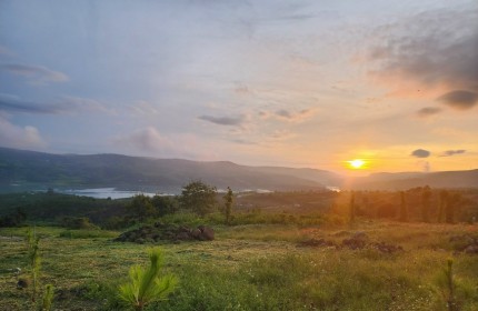 Bán 1 sào đất có sổ Di Linh,tặng kèm nhà đầy đủ nội thất