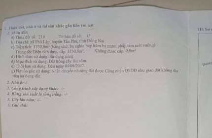 Chính Chủ Bán 4 Sào Đất Trồng Bưởi Da Xanh Đang Thu Hoạch huyện Tân Phú, Đồng Nai