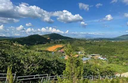 BÁN ĐẤT VIEW SĂN MÂY HẺM ĐÔI VOI ĐẠI LÀO - BẢO LÔC - LÂM ĐỒNG