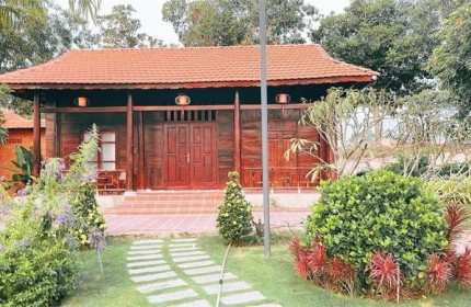 Chính chủ bán đất vườn Đất Đỏ, Bà Rịa Vũng Tàu, giá rẻ, đường ô tô, ngân hàng cho vay