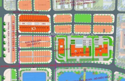 Chính chủ bán đất đấu giá vườn Đào Đông Anh