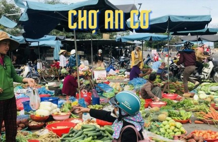 Đất chợ An Cơ,Châu Thành Tây Ninh 500m2 giá 750 triệu có thổ, SHR