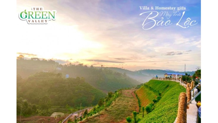 The Green Valley - Villa & Homestay giữa Mây trời Bảo Lộc