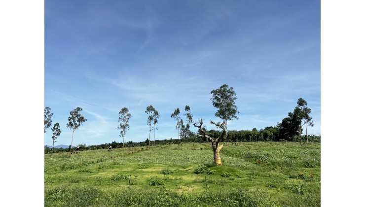 Gia Thọ Village - mô hình bất động sản sinh thái sức khoẻ khác biệt và độc đáo tại Lâm Đồng.