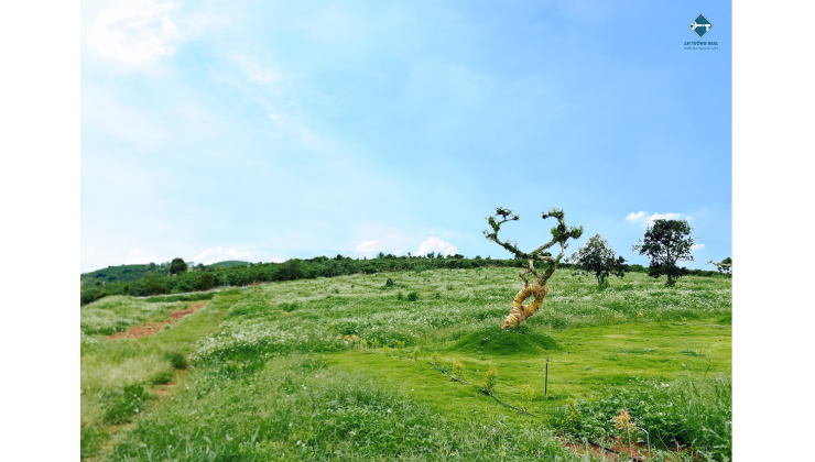 Gia Thọ Village - mô hình bất động sản sinh thái sức khoẻ khác biệt và độc đáo tại Lâm Đồng.