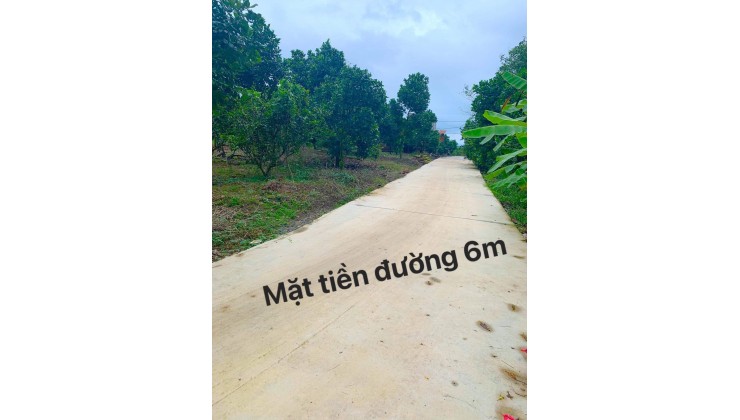 Siêu phẩm đất vườn Ngọc Định 3428m2 , mặt tiền hơn 100m, giá cực sốc 1tỷ450 triệu