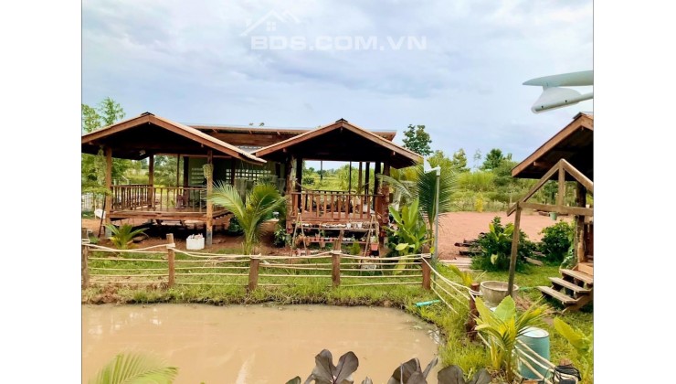 Đất vườn Phan Thiết ngay nút giao cao tốc, giá 750 triệu/1.000m2. Sổ đỏ sẵn, KDC đông đúc