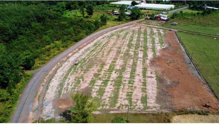 Đất mặt tiền đường nhưa,lô góc-Lộc khánh-Lôc Ninh-Binh Phước