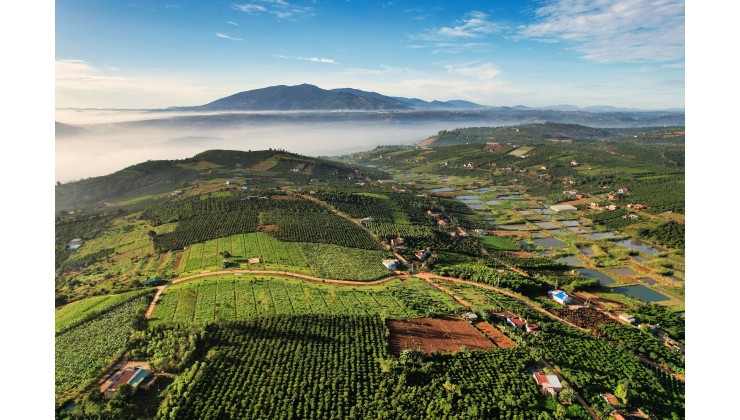 GIA THỌ VILLAGE – NƠI CÂN BẰNG MỌI GIÁC QUAN