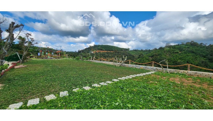 THE GREEN VALLEY- Villa & Homestay giữa Mây Trời Bảo Lộc