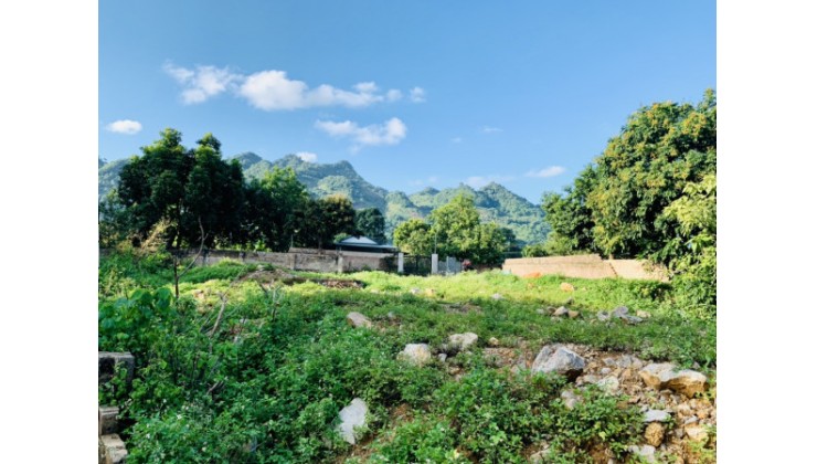 Bán đất khu vực có nhiều homestay nhất Mộc Châu ,Sơn La