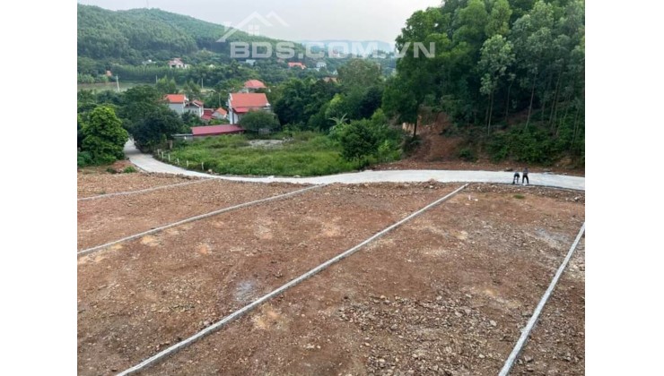 Chính chủ cần bán 5 lô đất biệt thự tại Cẩm Lý Lục Nam Bắc Giang