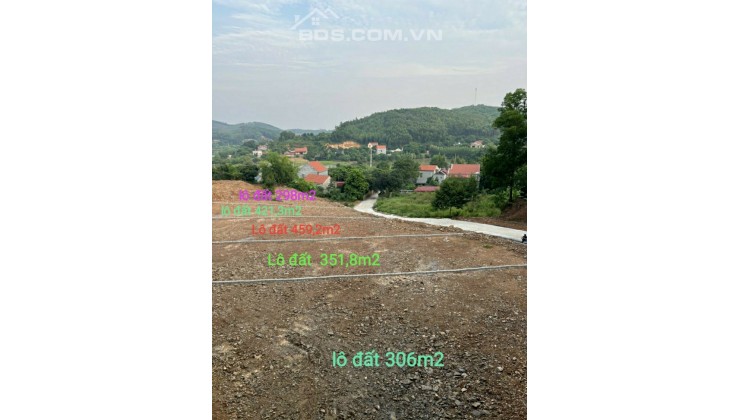 Chính chủ cần bán 5 lô đất biệt thự tại Cẩm Lý Lục Nam Bắc Giang