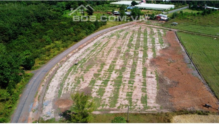 Bán Đất Chính Chủ Để Trả Nợ Ngân Hàng Tại Đây