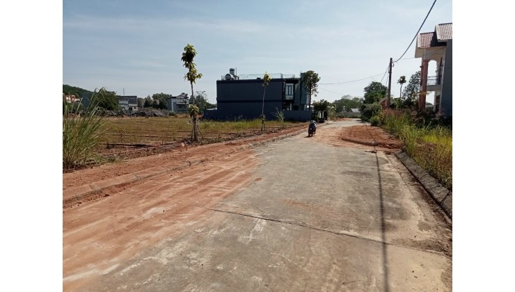 Bán 1 số lô đất nền mặt đường Nguyễn Tất Thành thành phố Yên Bái