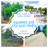Siêu phẩm đất vườn Ngọc Định 3428m2 , mặt tiền hơn 100m, giá cực sốc 1tỷ450 triệu