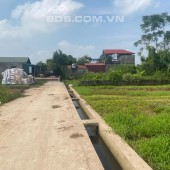 Bán 590m2 đất nông nghiệp xã Vân Tảo, Thường Tín