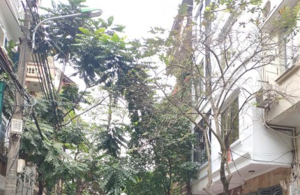 Bán nhà phố Trần Quang Diệu 60M 6T- Ô TÔ - THANG MÁY- chỉ 19 TỶ- 0976389206.