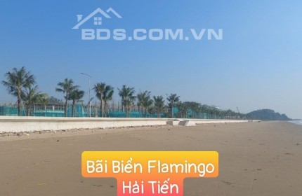 Căn hộ condotel flamingo Hải Tiến, giá quá đẹp luôn