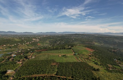 Gia Thọ Village - mô hình bất động sản sinh thái sức khoẻ khác biệt và độc đáo tại Lâm Đồng.