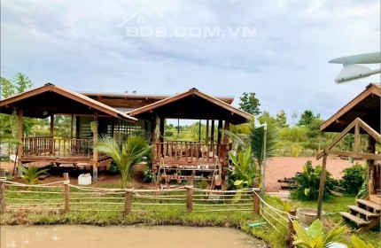 Đất vườn Phan Thiết ngay nút giao cao tốc, giá 750 triệu/1.000m2. Sổ đỏ sẵn, KDC đông đúc