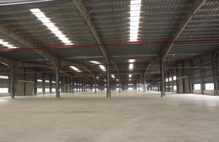 Cho thuê kho xưởng tại KCN Phú Nghĩa kho xưởng tiêu chuẩn giá chỉ 75k/m