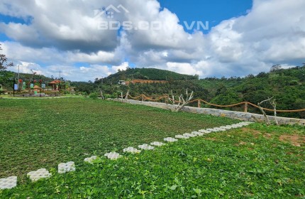 THE GREEN VALLEY- Villa & Homestay giữa Mây Trời Bảo Lộc