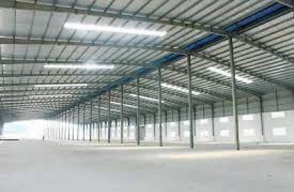 A.17 Cho thuê kho bãi 2500m2 mặt tiền quốc lộ 51 phú mỹ, Bà Rịa Vũng Tàu