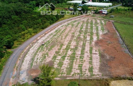 Bán Đất Chính Chủ Để Trả Nợ Ngân Hàng Tại Đây