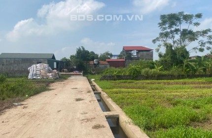 Bán 590m2 đất nông nghiệp xã Vân Tảo, Thường Tín