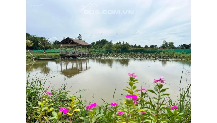 Cần bán trang trại 6000m2, chìa khoá trao tay mô hình VAC-P(vườn ao chuồng kết hợp Picnic)