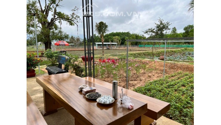 Cần bán trang trại 6000m2, chìa khoá trao tay mô hình VAC-P(vườn ao chuồng kết hợp Picnic)