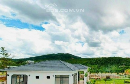 Đất nền CĐT 600m giá 350 triệu chỉ cần xuống tiền 175 triệu có sẵn sầu riêng có người chăm sóc giúp