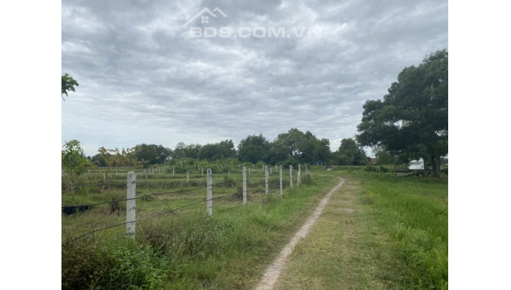Bán gấp ngang 5x33m, tc 100% đất Xóm Mới - Thanh Phước - Gò Dầu