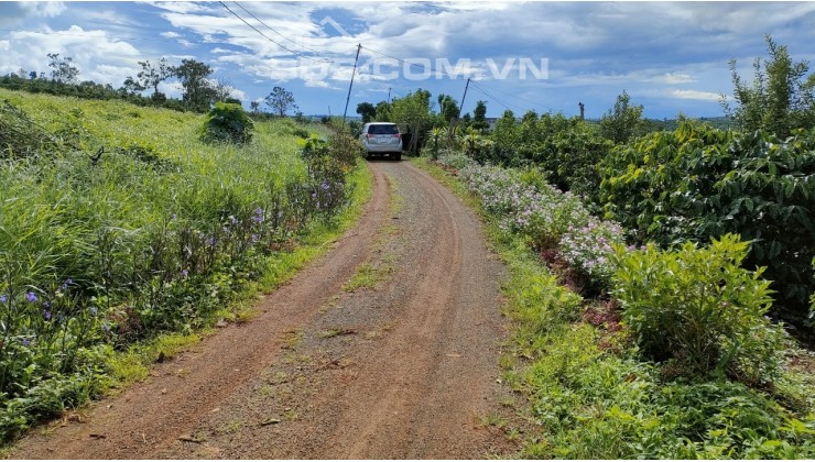 Chính chủ bán đất thổ cư Lâm Hà cách chợ Tân Hà chỉ 2km