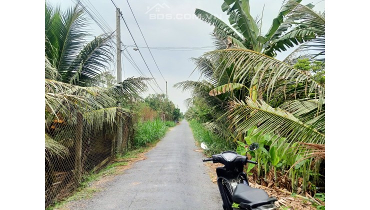 BÁN NHANH ĐẤT VƯỜN MẶT TIỀN ĐƯỜNG KÊNH NỔI B XÃ SONG BÌNH CHỢ GẠO – TIỀN GIANG