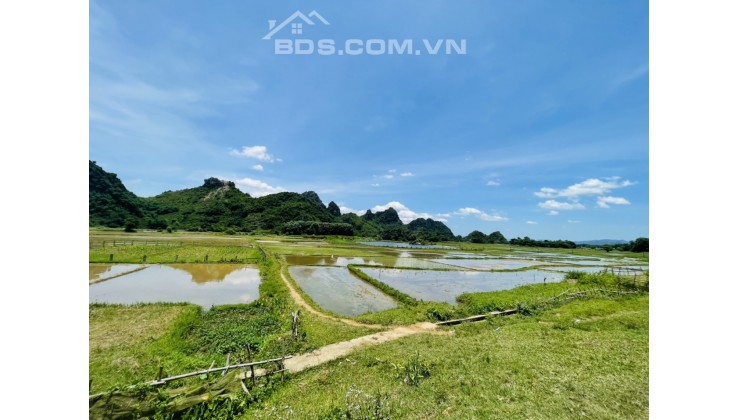Cần bán gấp đất Huyện Lương Sơn siêu phẩm view cánh đồng triệu đô diện tích 700m giá chỉ hơn 1 tỷ