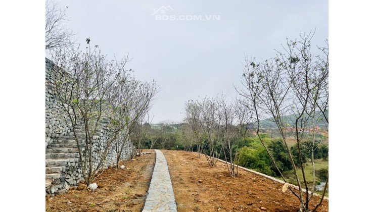 Siêu phẩm cho các Bác Đại Gia Hà Thành 2400m2 view tuyệt đỉnh như hình ảnh tại đường Bãi dài Tiến Xuân Thạch Thất Hà Nội