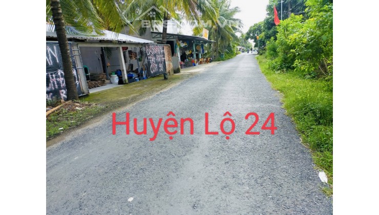 Đất mặt tiền lộ nhựa, đường huyện 24 xã Xuân Đông, Chợ Gạo, Tiền Giang