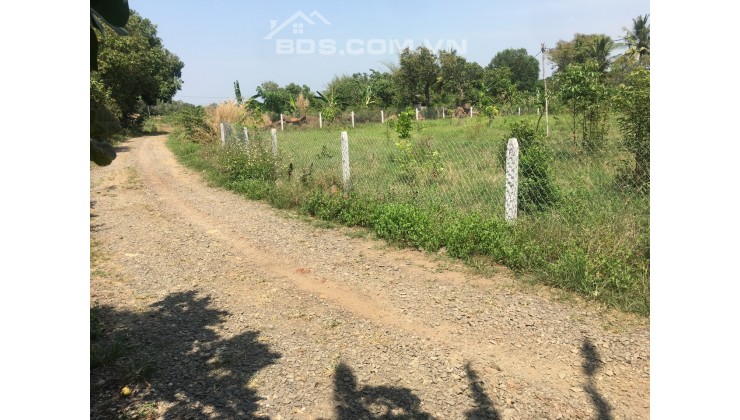 Chủ ngộp giảm 300tr bán nhanh lô đất vườn 1100m2 có sẵn 100m2 thổ cư ở Định Quán, Đông Nai