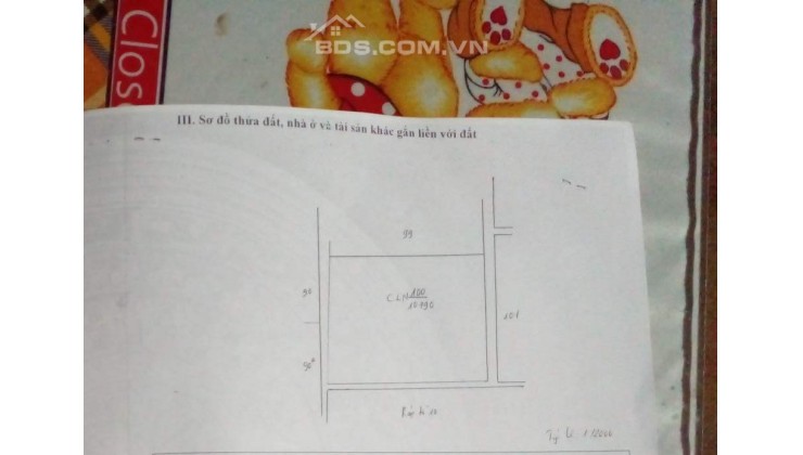 CẦN BÁN ĐẤT RẪY CHÍNH CHỦ (KHÔNG TIẾP CÒ LÁI )