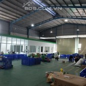 Cho thuê xưởng sản xuất mặt tiền đường Bùi Hữu Nghĩa, Thuận An