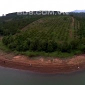 Chính chủ bán đất  hồ Plei - KrongKon Tum giáp hồ chỉ 280 tr/sào
