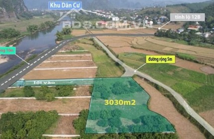 bán lô đất 3030m2 sẵn vườn cây ăn quả tại kim bôi, hòa bình