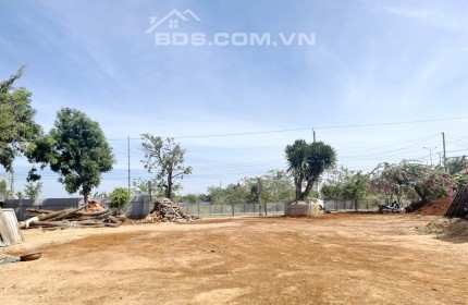 Cho Thuê  2000m², 66m mặt tiền đường nhựa 8m Xã Hòa Long, TP. Bà Rịa