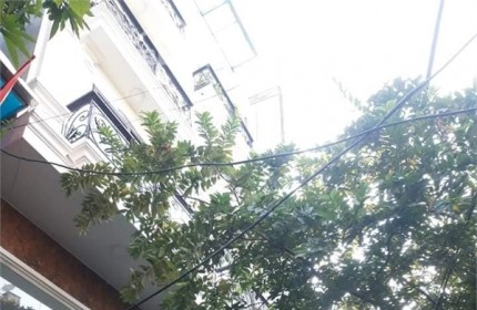 Bán nhà Nguyễn Văn Cừ, Long Biên. 45m2 x 5 tầng, Ngõ Ô TÔ.LH: 0983311014