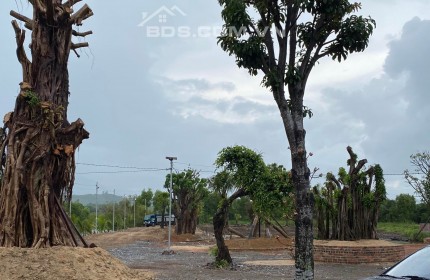 bán đất mặt tiền QL1A giá chỉ 2tr1/m2 gần trạm thu phí Ninh Lộc Ninh Hoà lh 0985451850