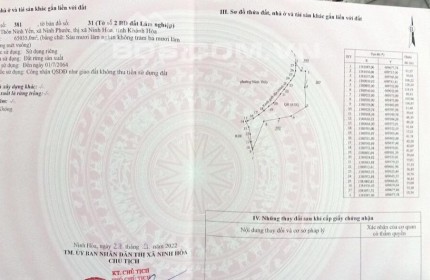 bán 6ha5 giá chỉ 2ti9 ngay cảng Nam Vân Phong Ninh Thuỷ Ninh Hoà lh 0985451850