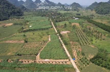 Lưng tựa núi, khí hậu ôn hoà. Phù hợp để đầu tư sinh lời trong tương lai và nghỉ dưỡng